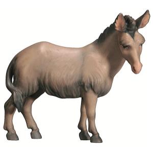 Donkey oriental