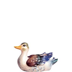 Duck B.K. white