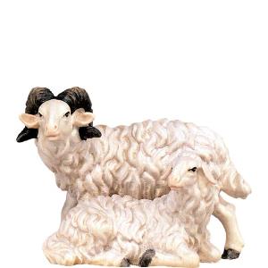 Ram with sheep H.K.