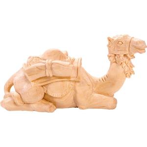 Camel lying R.K.
