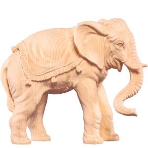 Elephant R.K.