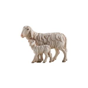 IN Schaf laufend mit Lamm