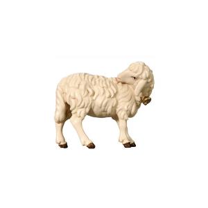 SI Sheep with bell