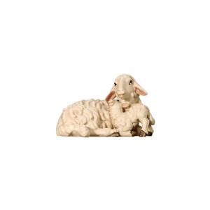 SI Sheep lying with lamb