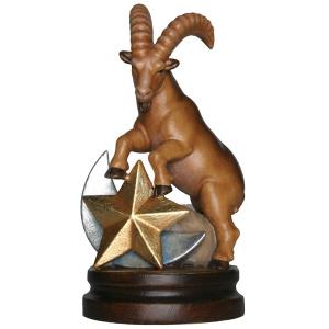 Zodiac sign Capricorn