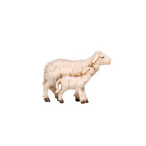 HE Sheep with lamb standing