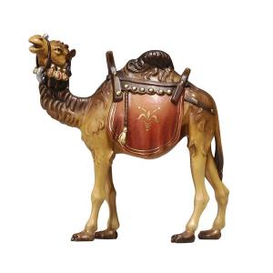 RA Camel
