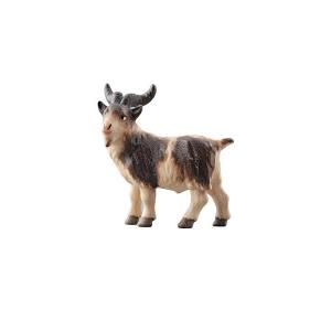PE Billy goat