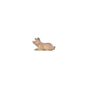 MA Piglet lying