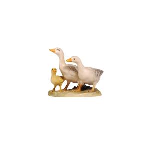 MA Group of geese