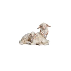 MA Sheep lying with lamb