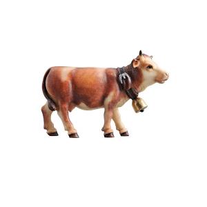 KO Cow looking forward