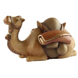 Camel lying