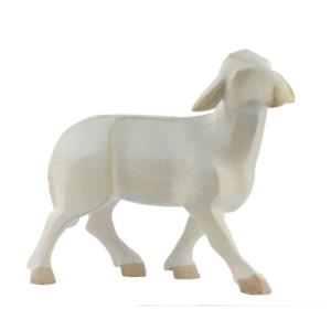 La Moderna Krippe sheep standing