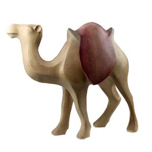 Leonardo camel