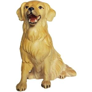 Golden Retriever seduto