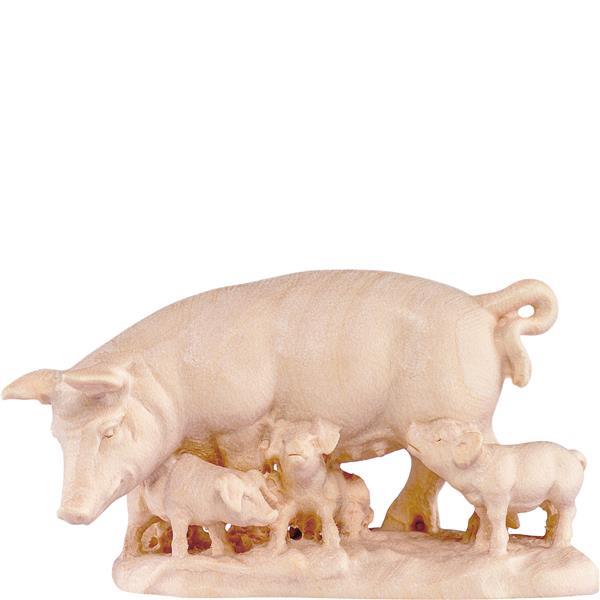 Schweinegruppe D.K. - Natur