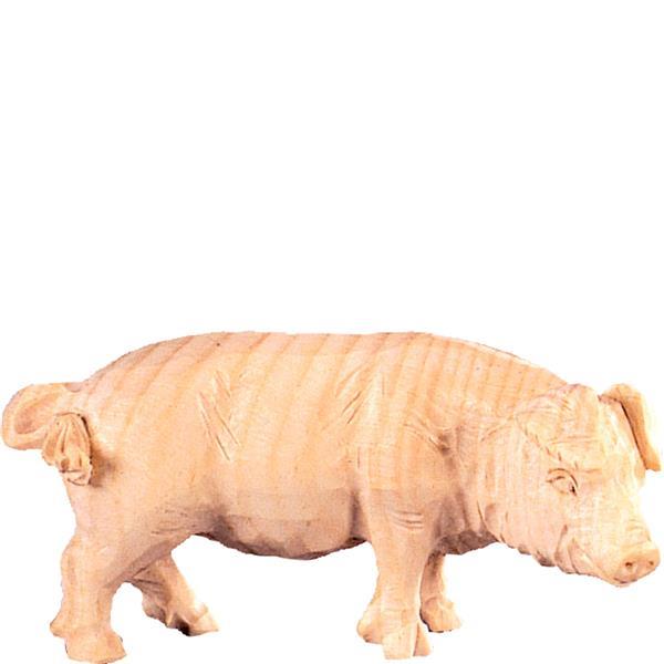 Schwein T.K. - Natur