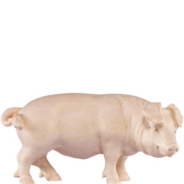 Schwein H.K. - Natur