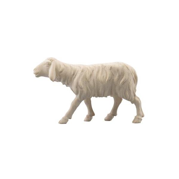 IN Schaf laufend - Natur