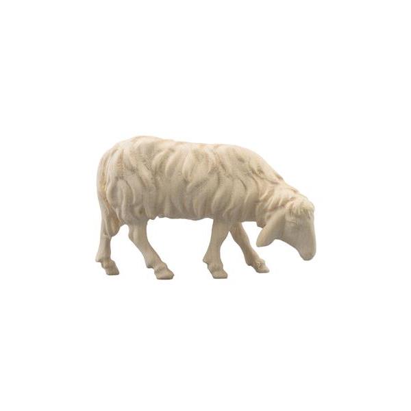 IN Schaf fressend rechts - Natur