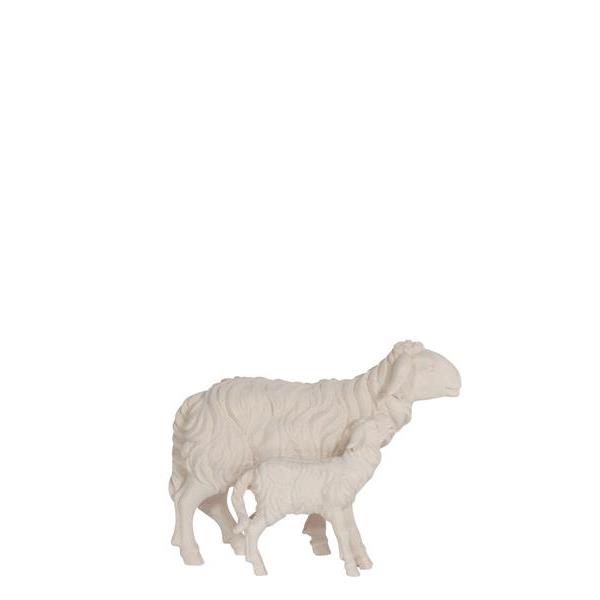 KO Schaf+Lamm stehend - Natur