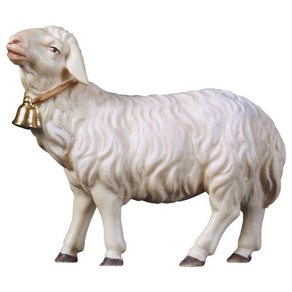 HI Schaf geradeaus schauend mit Glocke - Color