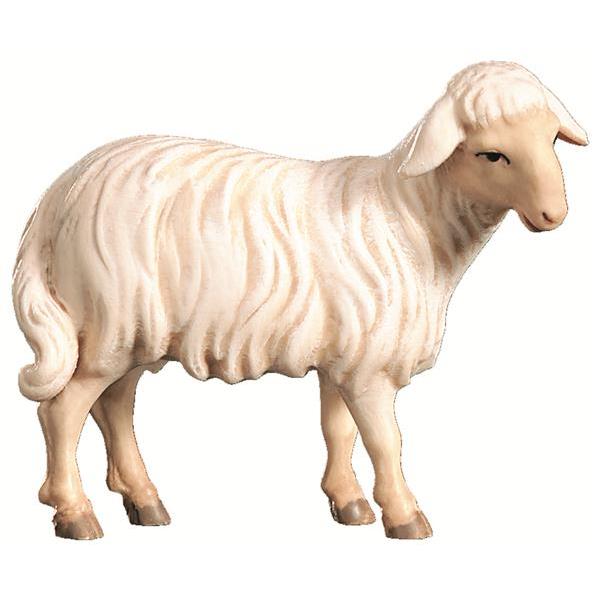 Schaf stehend or. - Color