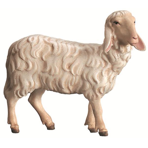 Schaf stehend - Color