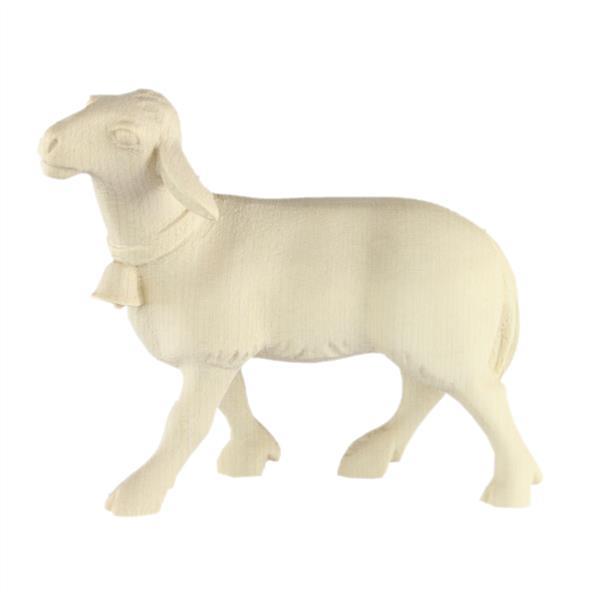 Schaf mit Glocke - Natur
