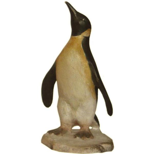 Pinguin - Natur