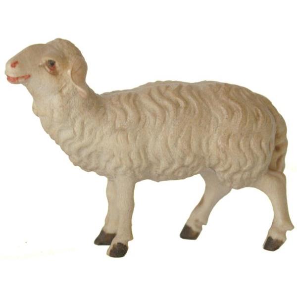 Schaf stehend rechts - Color