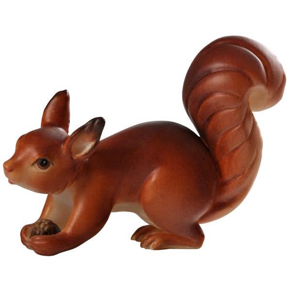 Eichhörnchen - Color