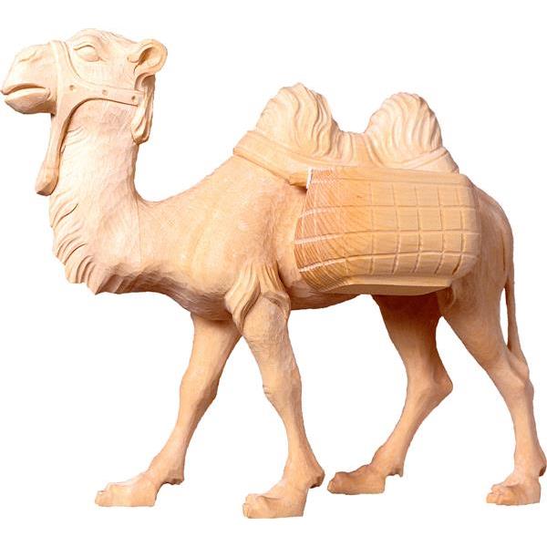 Camel T.K. - natural