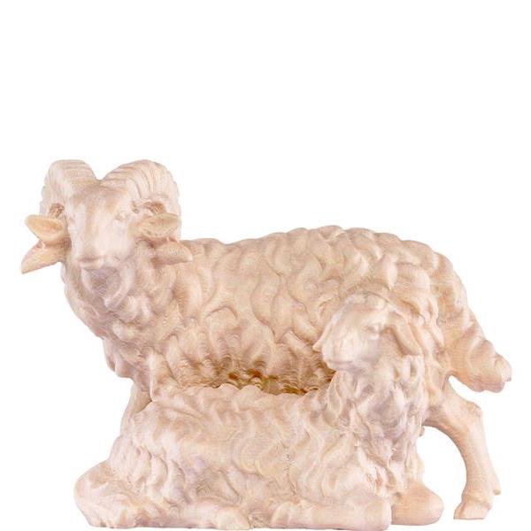 Ram with sheep H.K. - natural