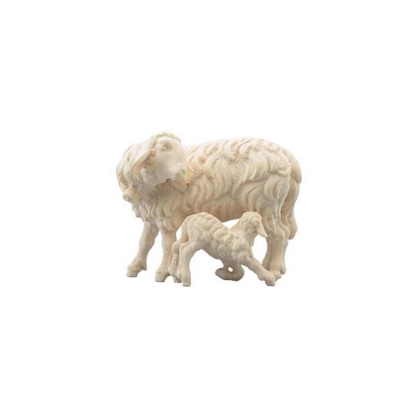 SI Sheep with lamb feeding - natural