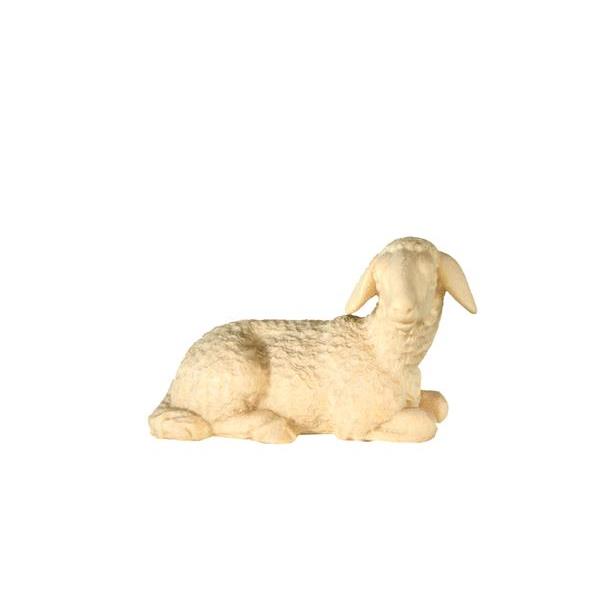 Sheep lying n.b. - natural
