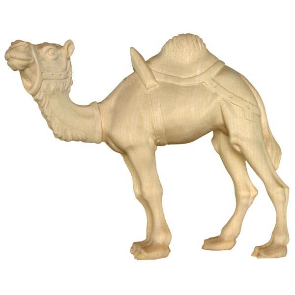 Camel without base - natural