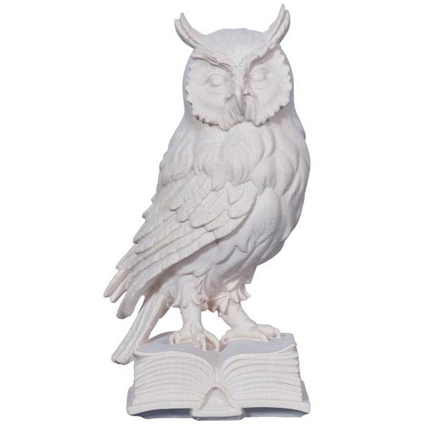 Owl on book - natural