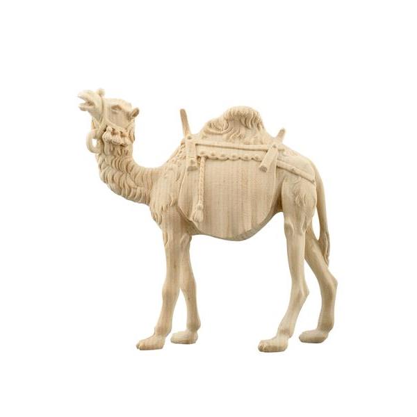 ZI Camel - natural