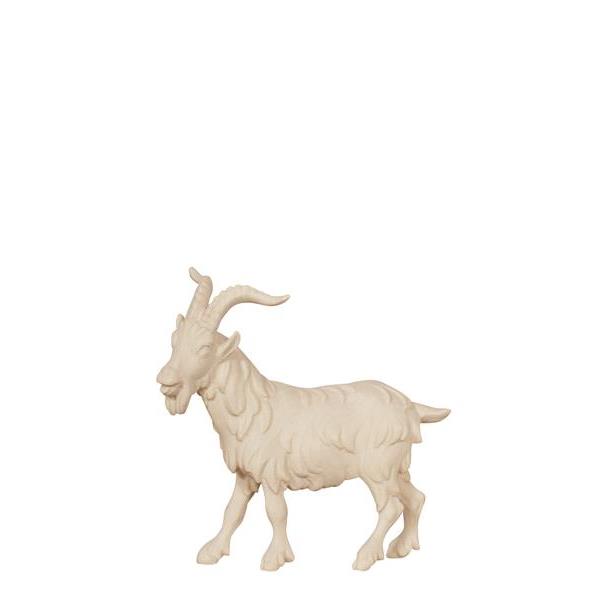 RA Billy goat - natural