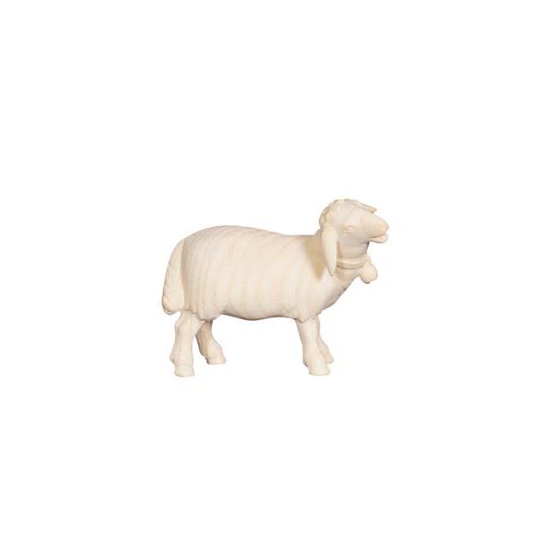 PE Sheep standing with bell looking right - natural