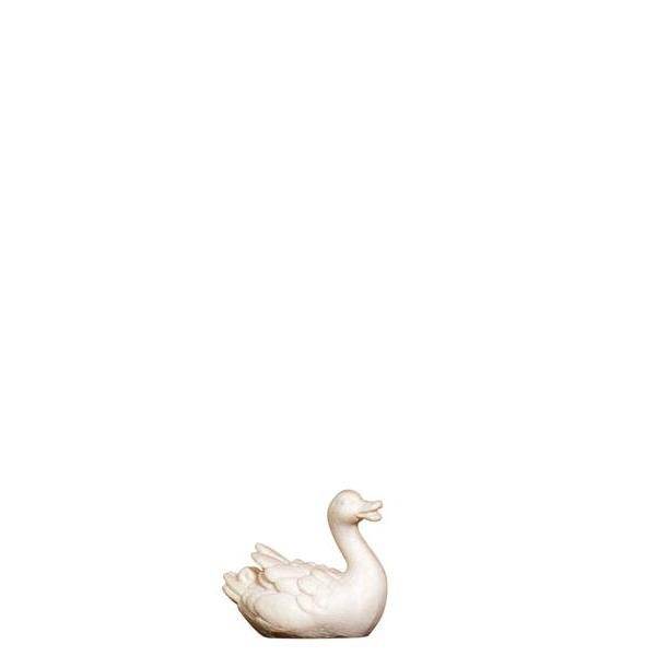 KO Duck swimming right - natural