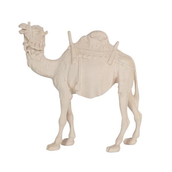 KO Camel - natural