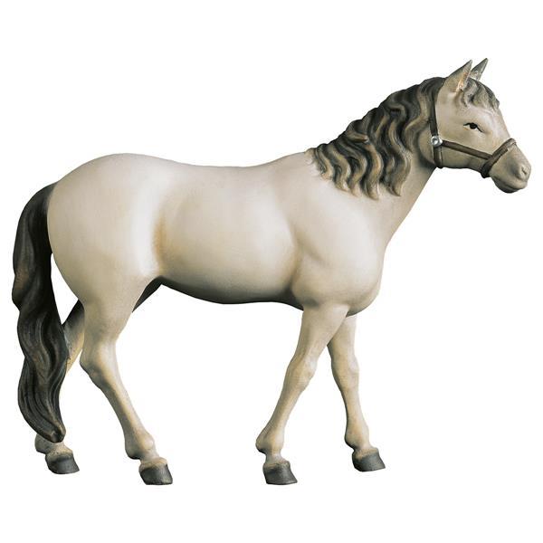 Horse white - color