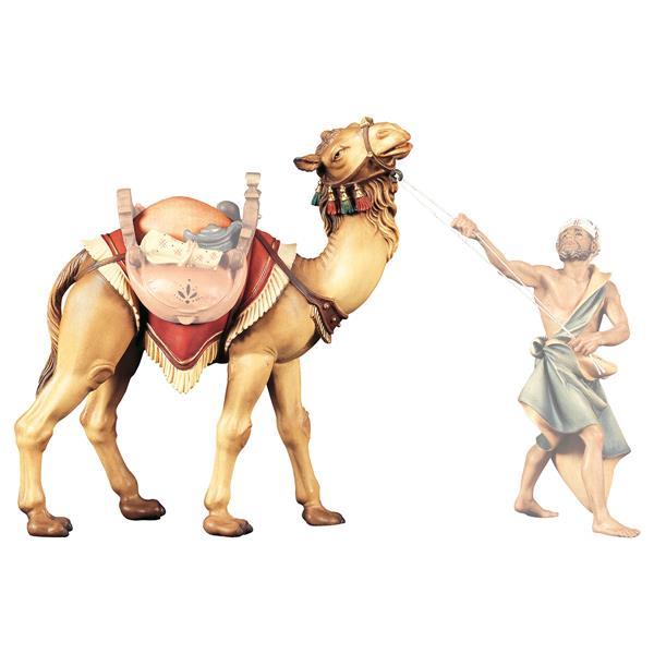 UL Standing camel - color