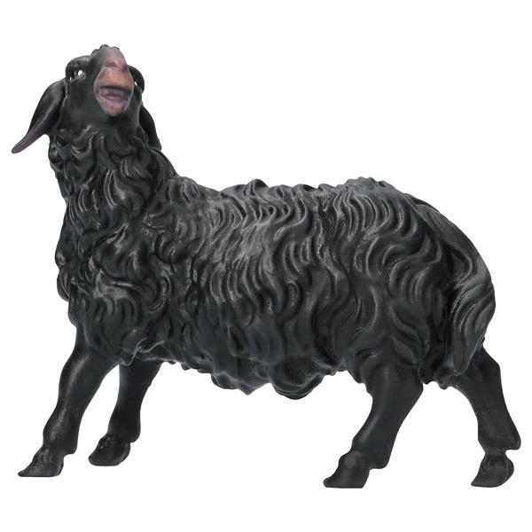 UL Sheep looking leftward black - color