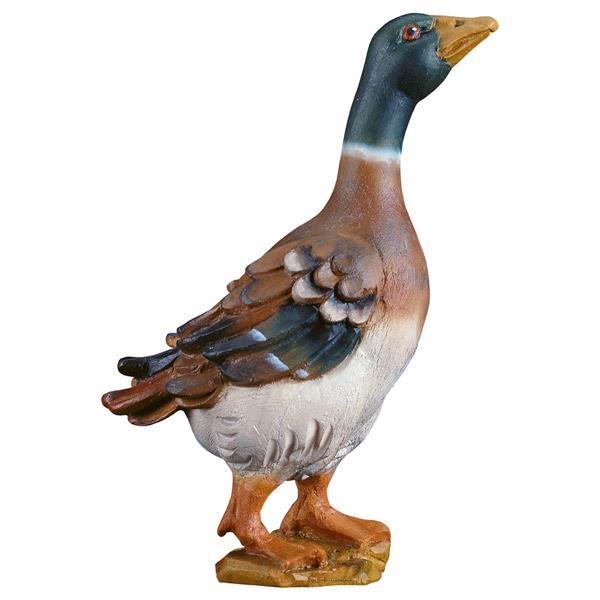 UL Standing duck - color