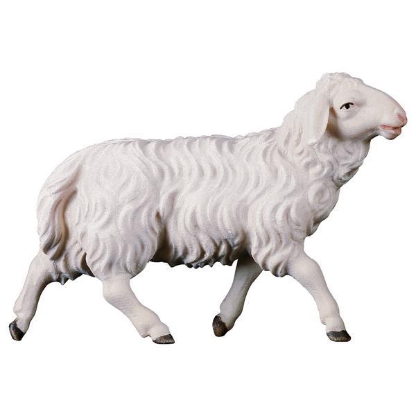 SH Running sheep - color