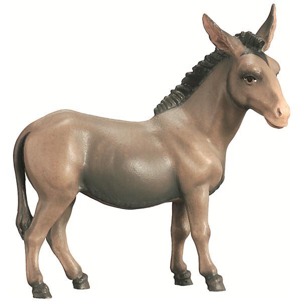 Donkey oriental - color